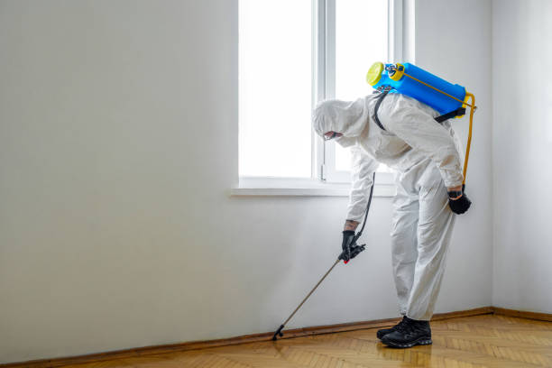 Best Commercial Pest Control  in De Leon, TX